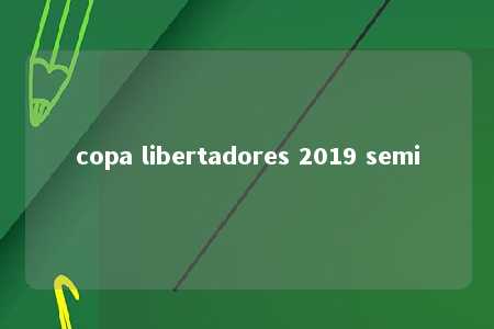 copa libertadores 2019 semi