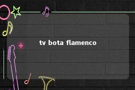 tv bota flamenco