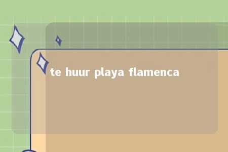 te huur playa flamenca