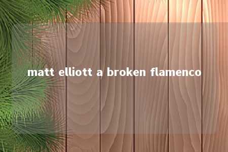 matt elliott a broken flamenco