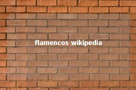 flamencos wikipedia