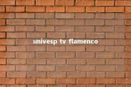 univesp tv flamenco