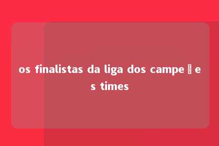 os finalistas da liga dos campeões times