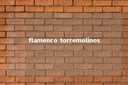 flamenco torremolinos