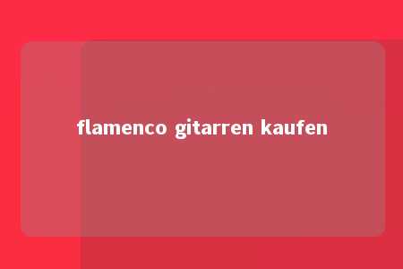 flamenco gitarren kaufen