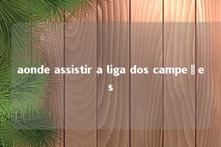 aonde assistir a liga dos campeões