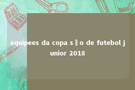 equipees da copa são de futebol junior 2018