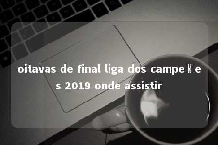 oitavas de final liga dos campeões 2019 onde assistir