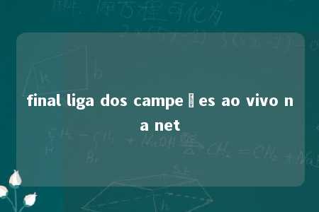 final liga dos campeões ao vivo na net