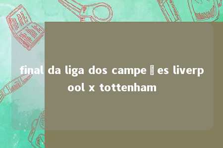 final da liga dos campeões liverpool x tottenham