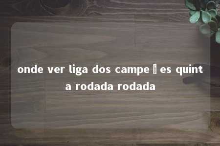 onde ver liga dos campeões quinta rodada rodada