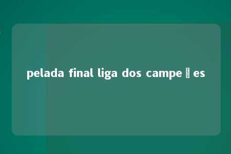 pelada final liga dos campeões