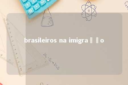 brasileiros na imigração