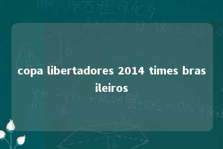 copa libertadores 2014 times brasileiros