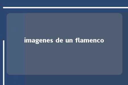 imagenes de un flamenco