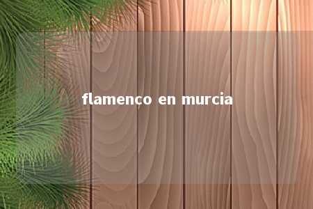 flamenco en murcia