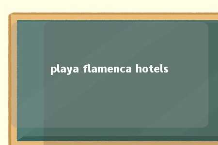 playa flamenca hotels