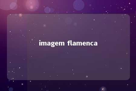 imagem flamenca